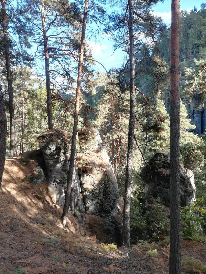 Pension Kral Jablonec nad Nisou Luaran gambar